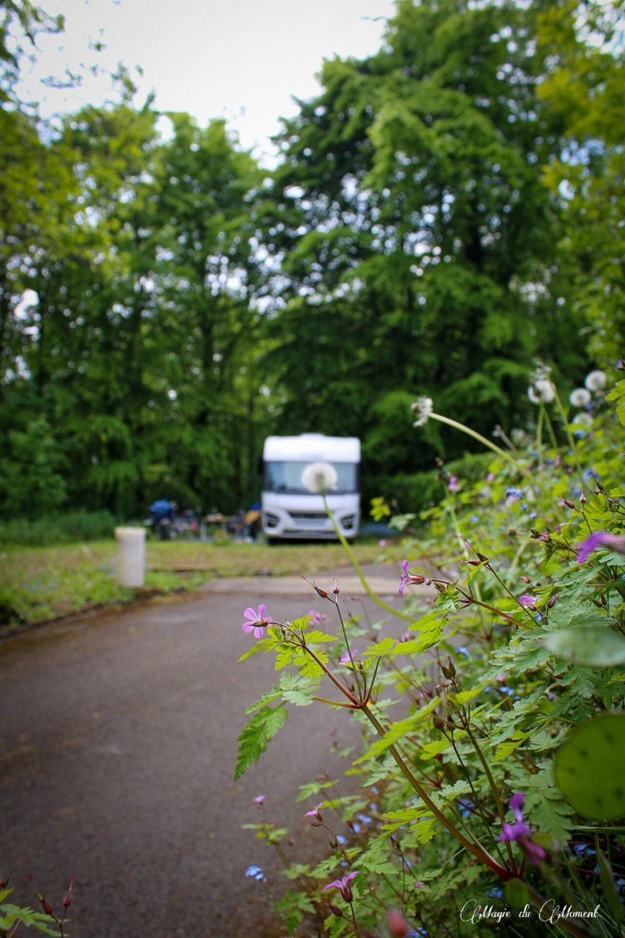 Camping La Sabliere Saint-Jans-Cappel Exterior photo